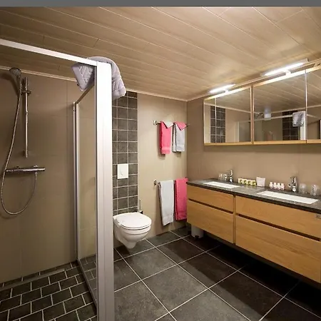 Au Pied De Vigne Apart Otel Vresse-sur-Semois