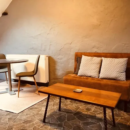 公寓式酒店 Au Pied De Vigne 4*