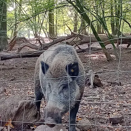 Au Pied De Vigne 公寓式酒店 瑟穆瓦河畔夫雷斯