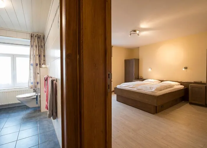 Au Pied De Vigne 4* Vresse-sur-Semois