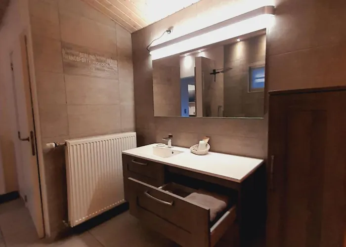 Au Pied De Vigne 4* Vresse-sur-Semois