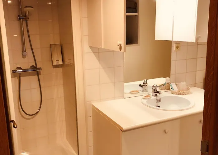 Au Pied De Vigne Apartmanhotel