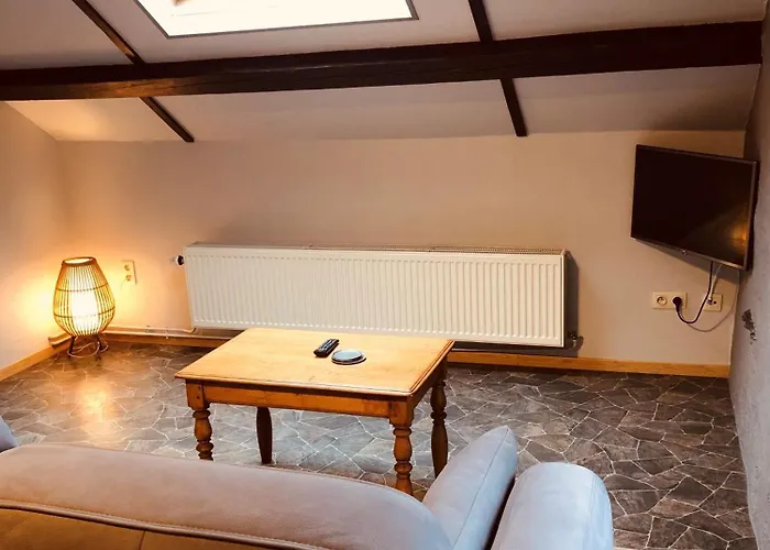 Au Pied De Vigne Apartmanhotel Vresse-sur-Semois