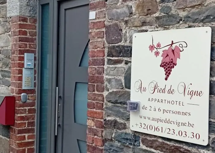 Au Pied De Vigne 4* Vresse-sur-Semois