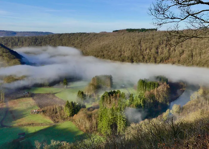 Au Pied De Vigne 4* Vresse-sur-Semois